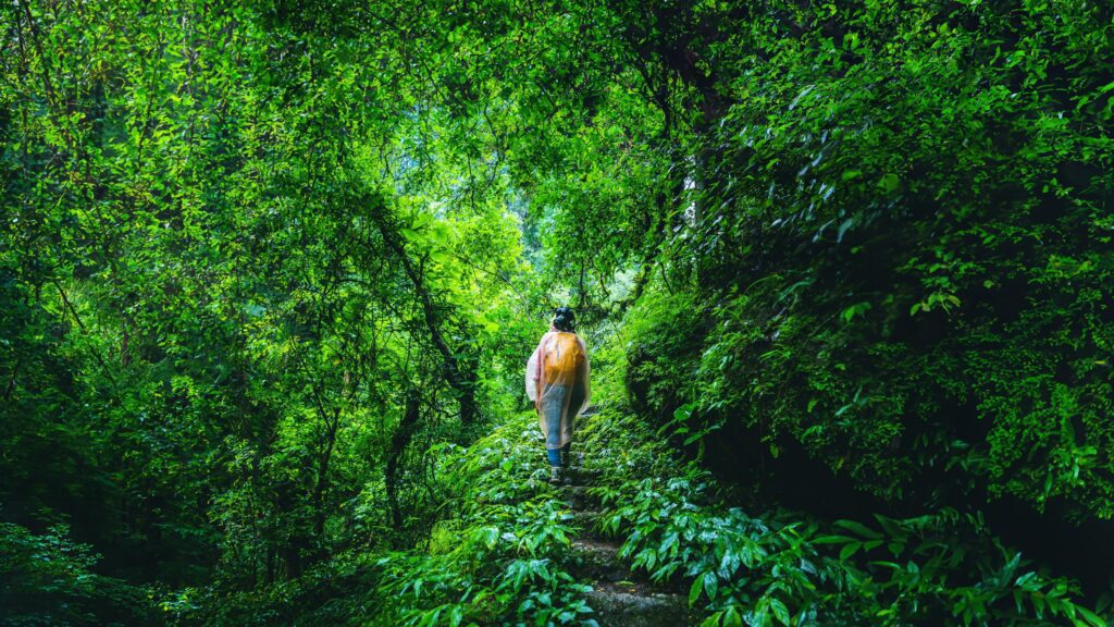 Asian women travel Take a picture Nature Study. Travel the highest waterfall in Chiangmai Mae-pan rainy season at Doi intanon in Thailand. Stock Free