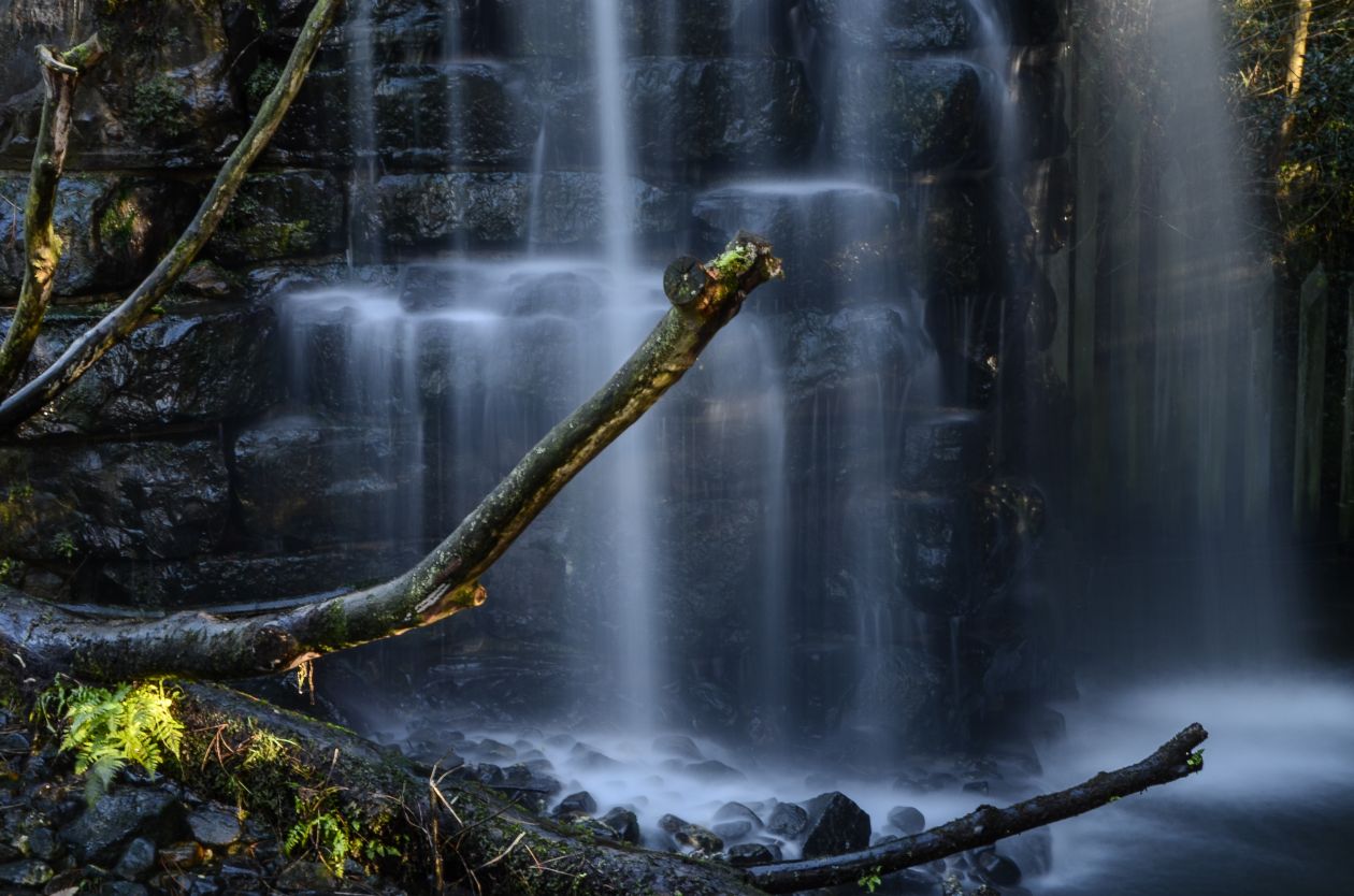 Forest waterfall Stock Free