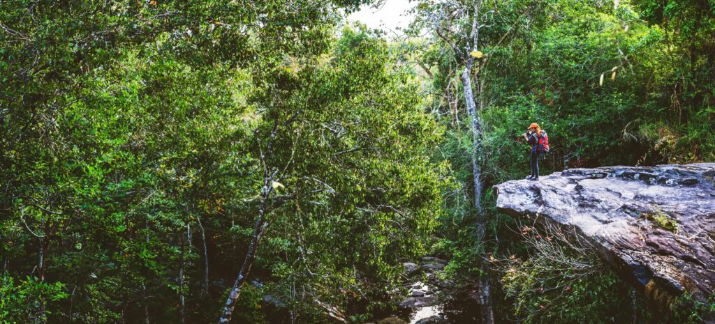 Photographer asian women Traveling photograph Nature. travel relax in the holiday walk in the forest. travel relax in the holiday. Thailand Stock Free