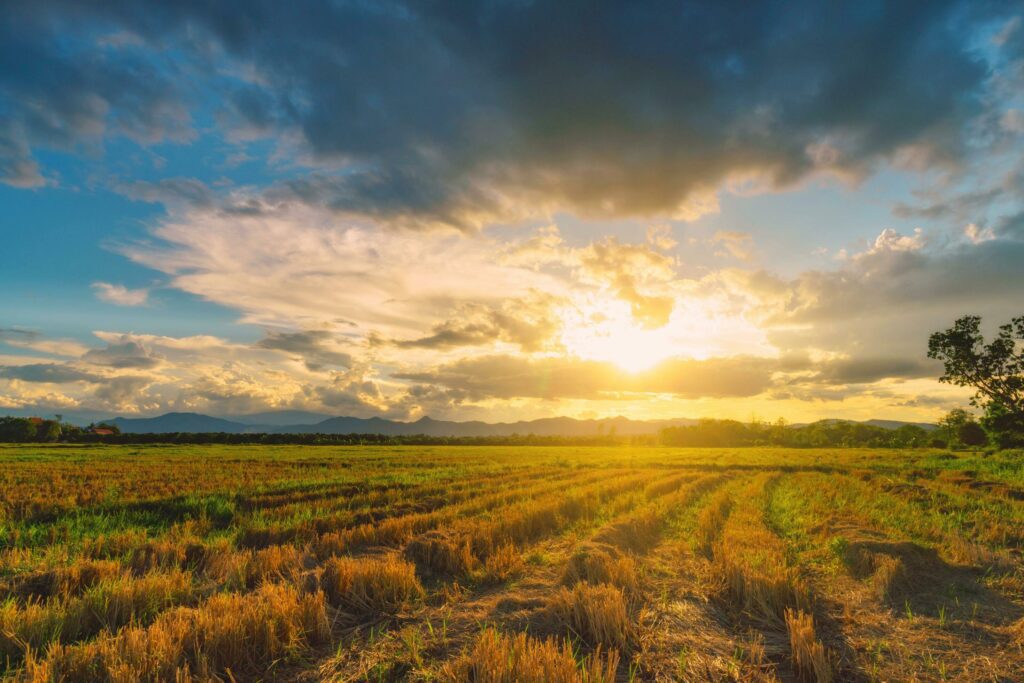 Natural scene Sky clouds and field agricultural sunset background Stock Free