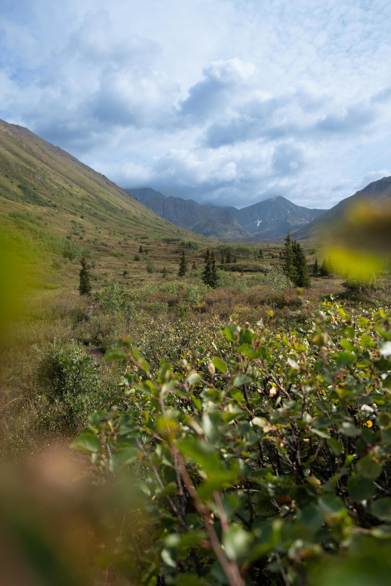 Nature landscape in Alaska Stock Free