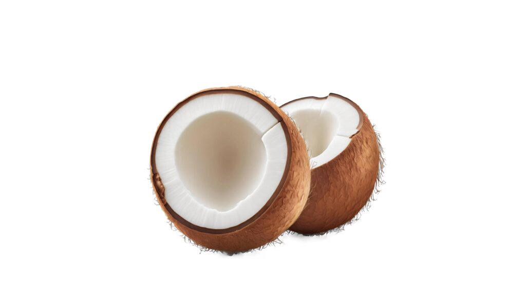 coconut on a white background Stock Free