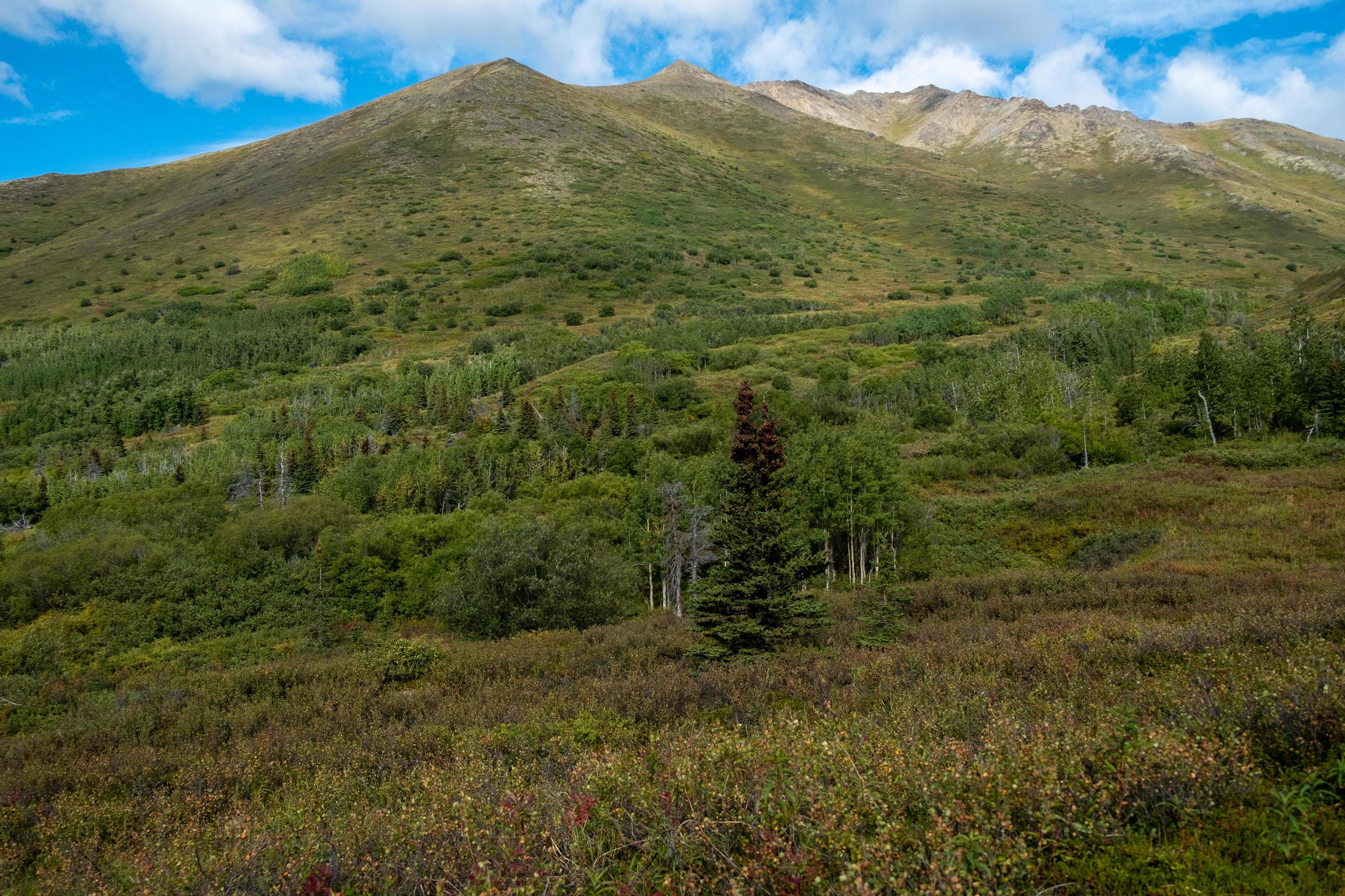 Nature landscape in Alaska Stock Free