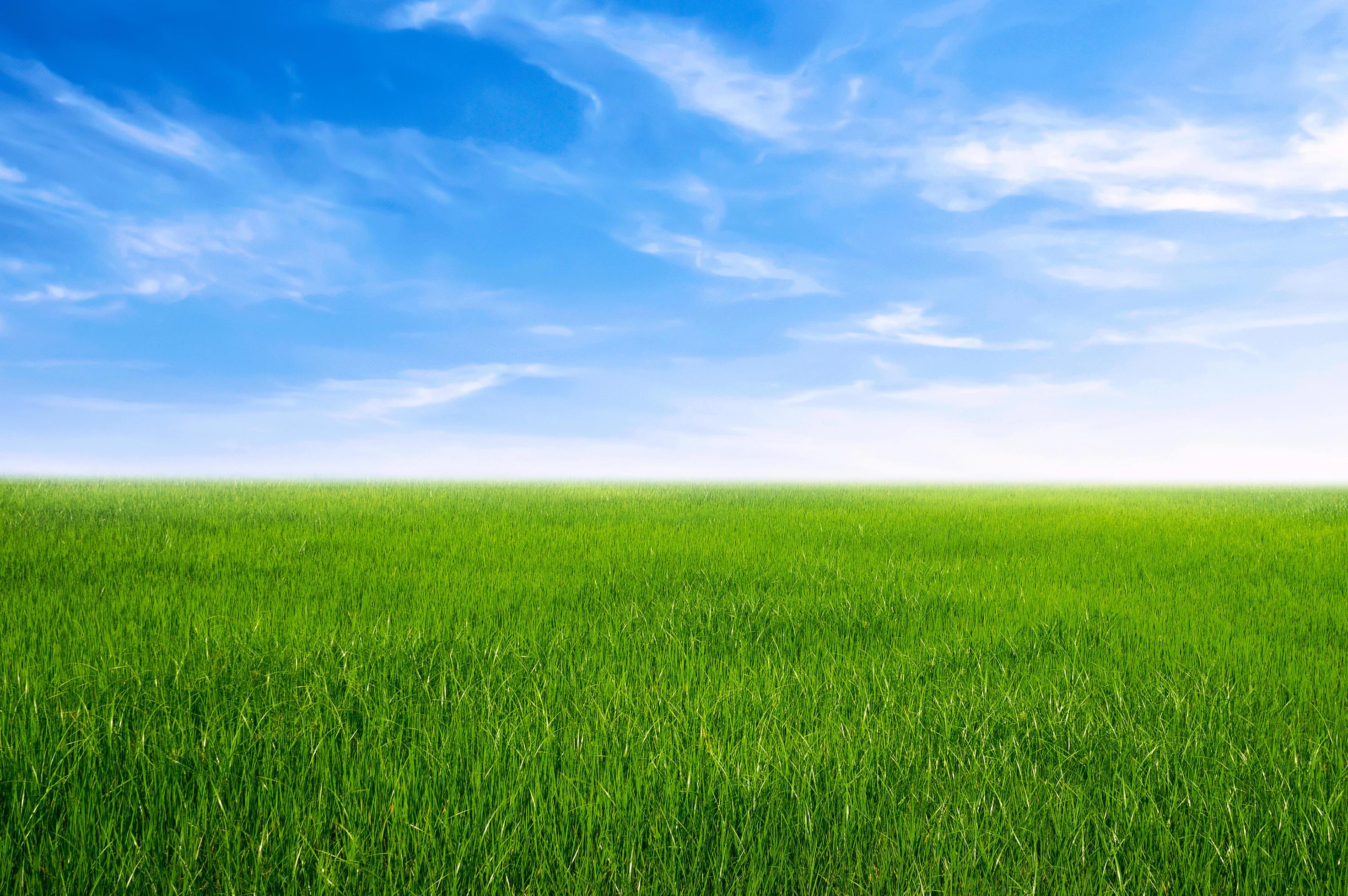 green grass field with blue sky ad white cloud. nature landscape background Stock Free