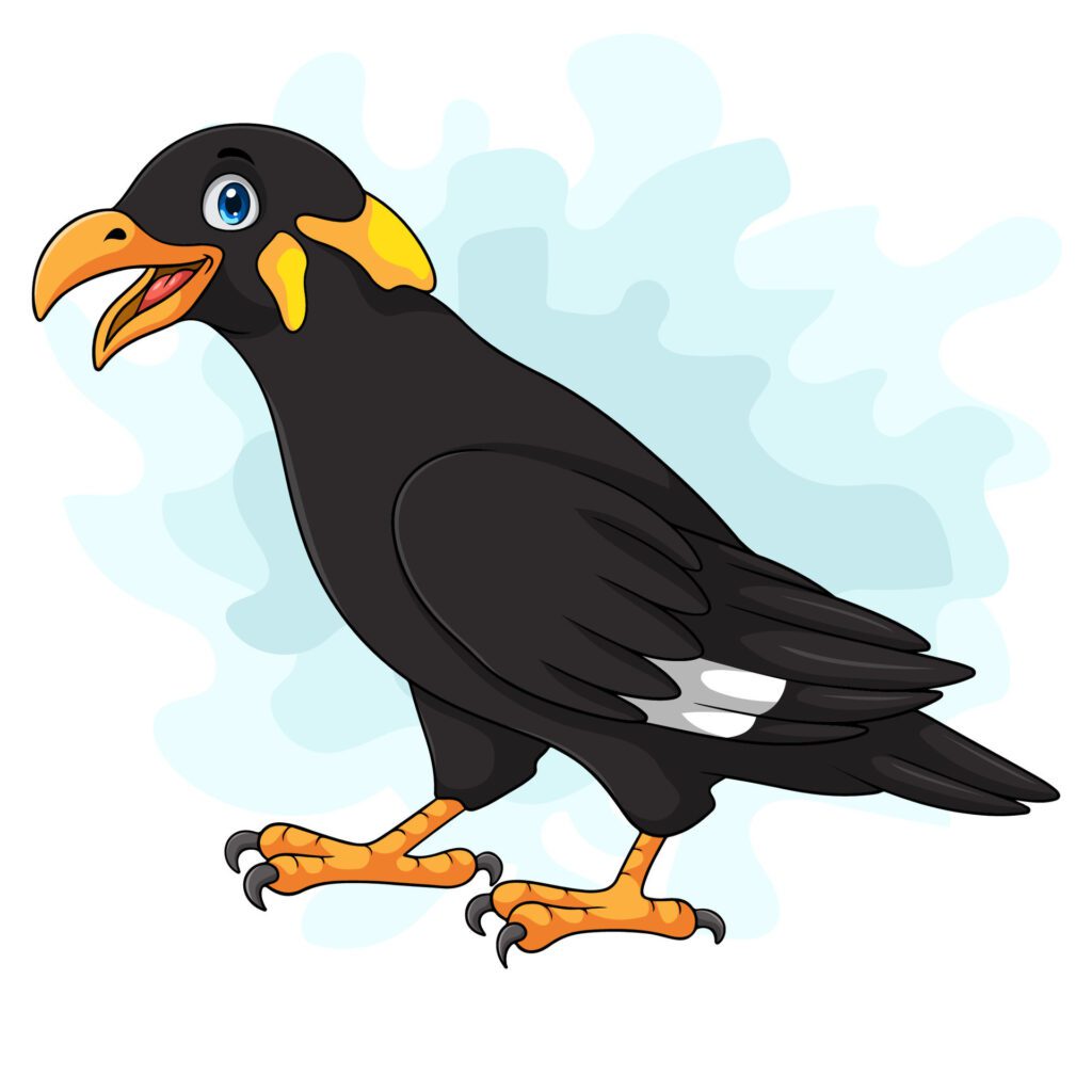 Cartoon myna bird on white background Free Vector