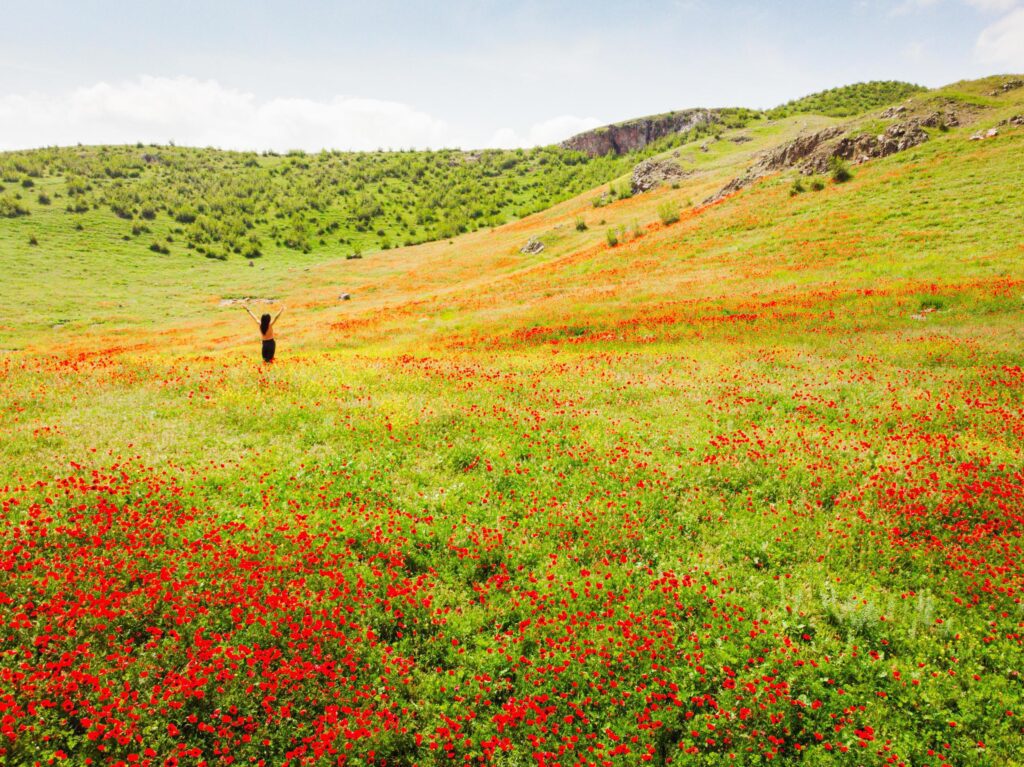 Girl in poppy field enjoy sunny spring day around blooming nature Stock Free