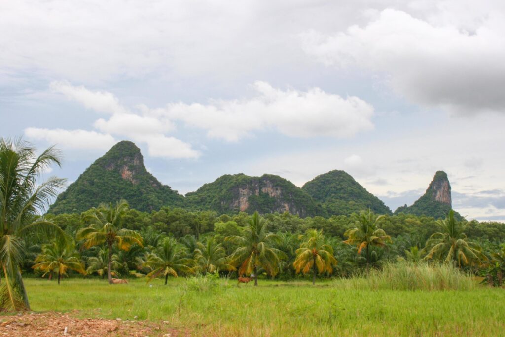 mountains in Phatthalung beauty nature and palm tree in south Thailand Stock Free