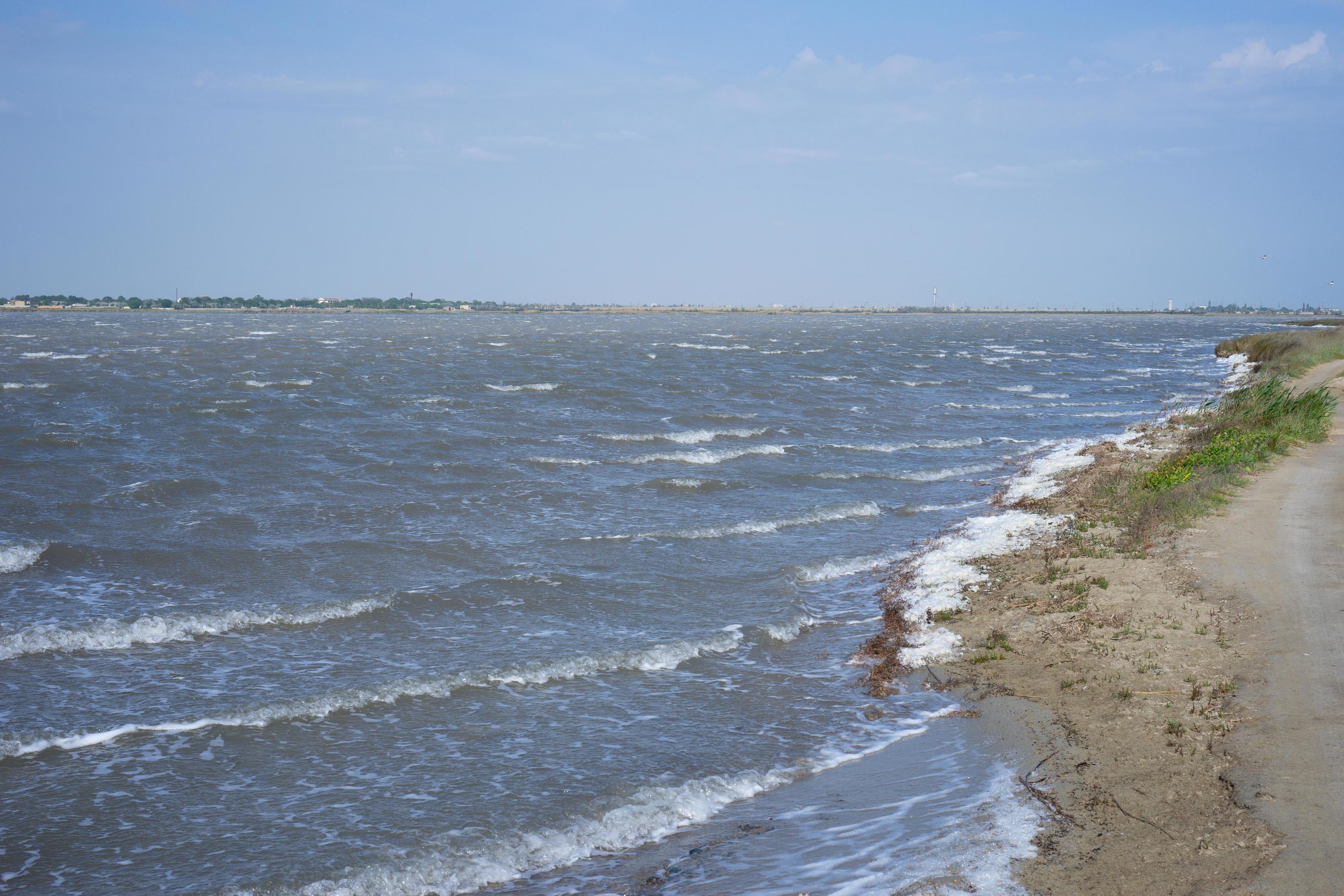 Natural landscape with mud healing lake. Stock Free