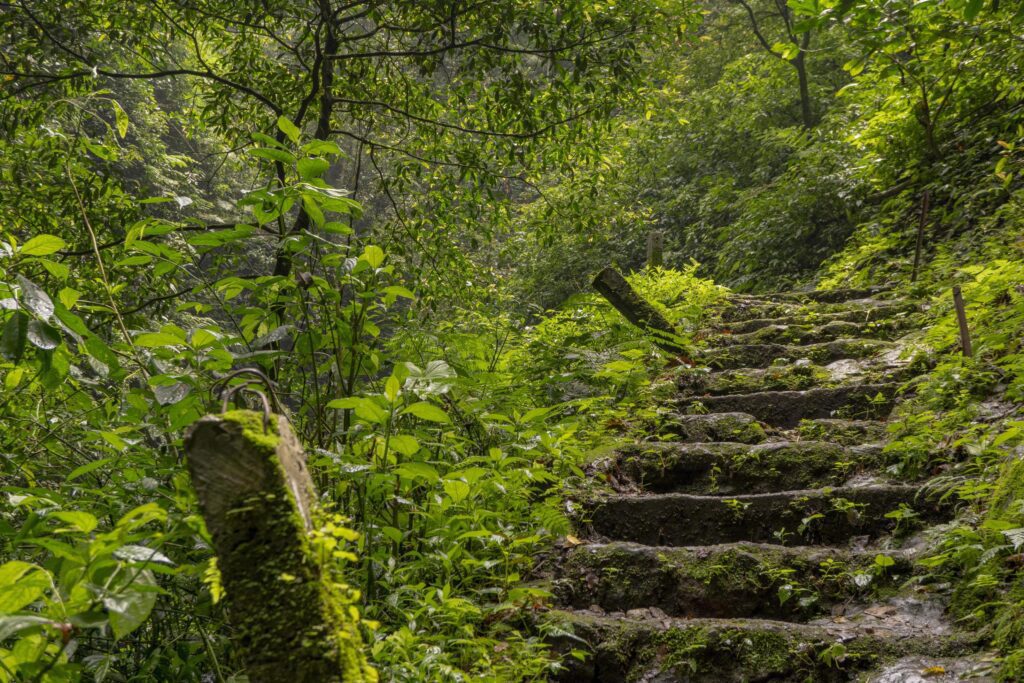 The way going to water fall on the rain forest. The photo is suitable to use for adventure content media, nature poster and forest background. Stock Free