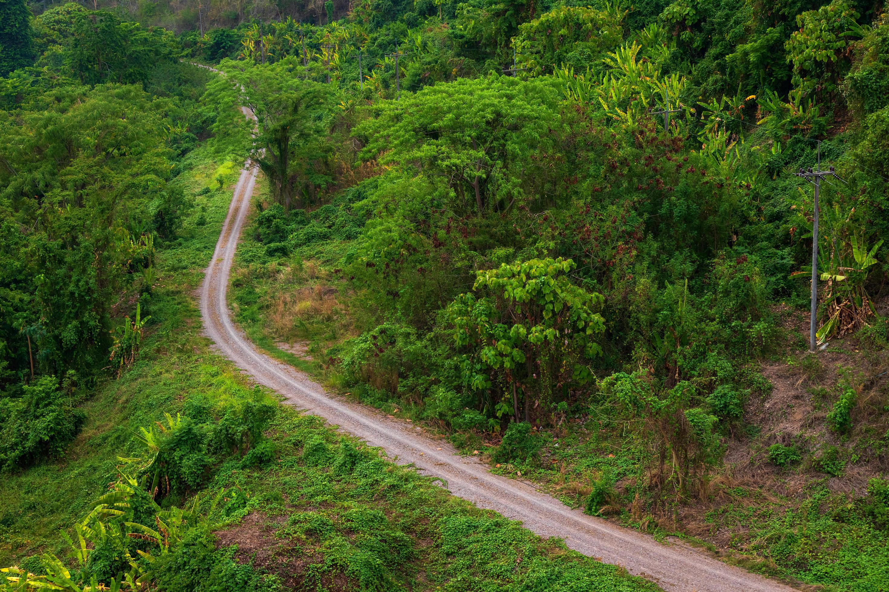 Rural roads Beside with green nature forest in the hill. Stock Free