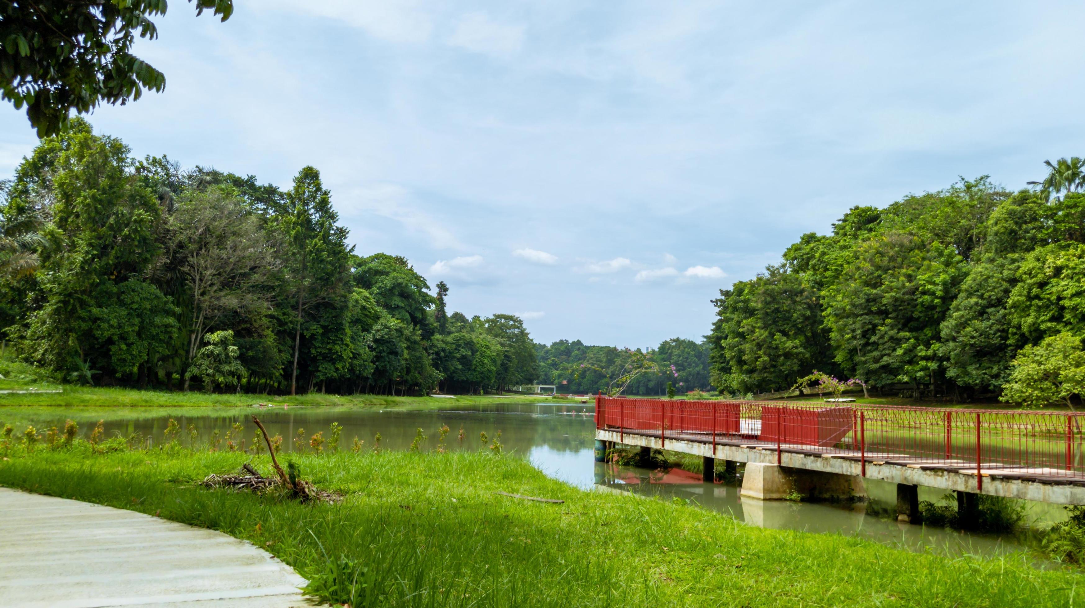 beautiful natural lanscape scenery, lake with wooden bridge, nature wallpaper, landscape background Stock Free