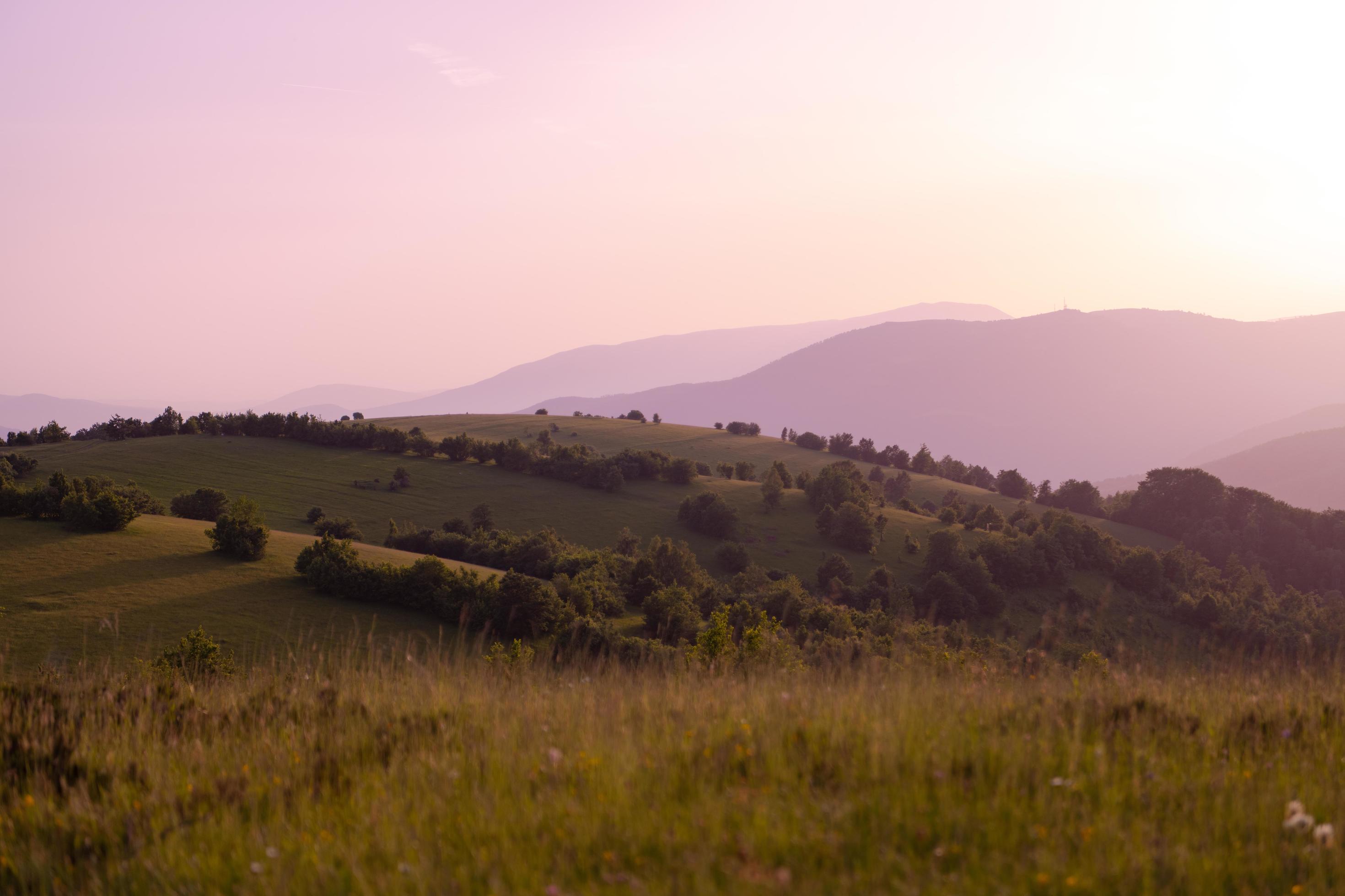 landscape nature summer Stock Free