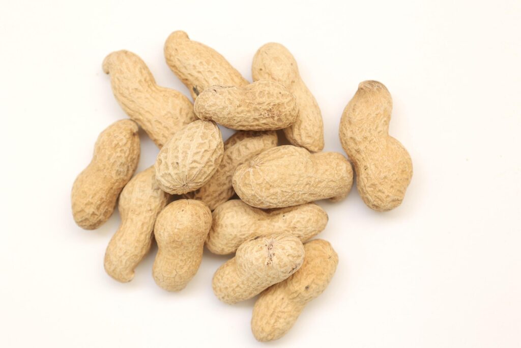 Peanut on white background Stock Free