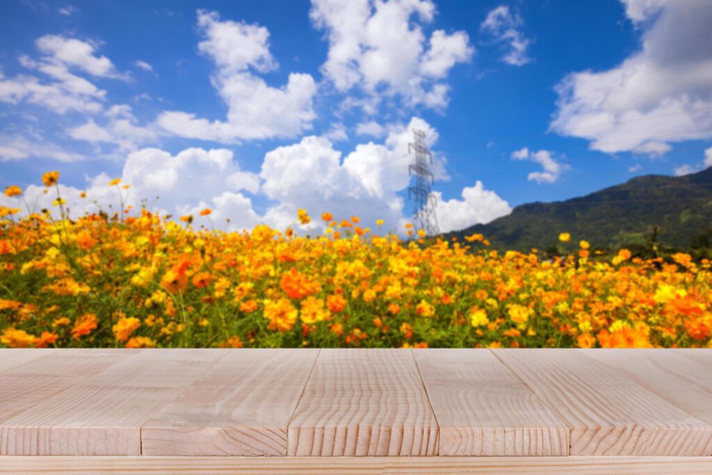 Wood table top on bokeh nature background – can be used for montage or display your products Stock Free