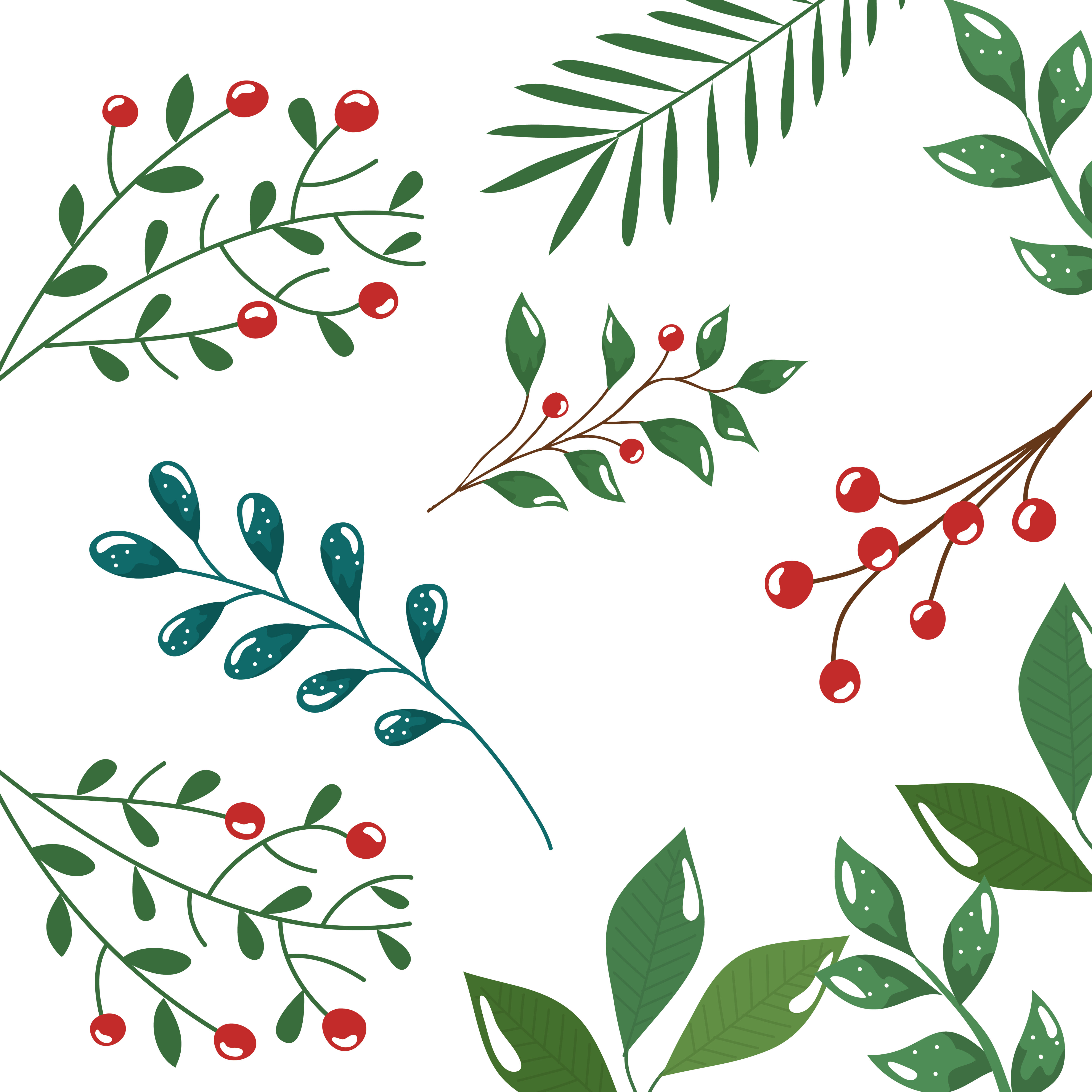 pattern of branches with leafs and seeds Free Vector