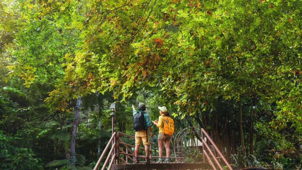 lover woman and man asian travel nature.Travel relax. Walking and studying nature in the forest. Thailand Stock Free