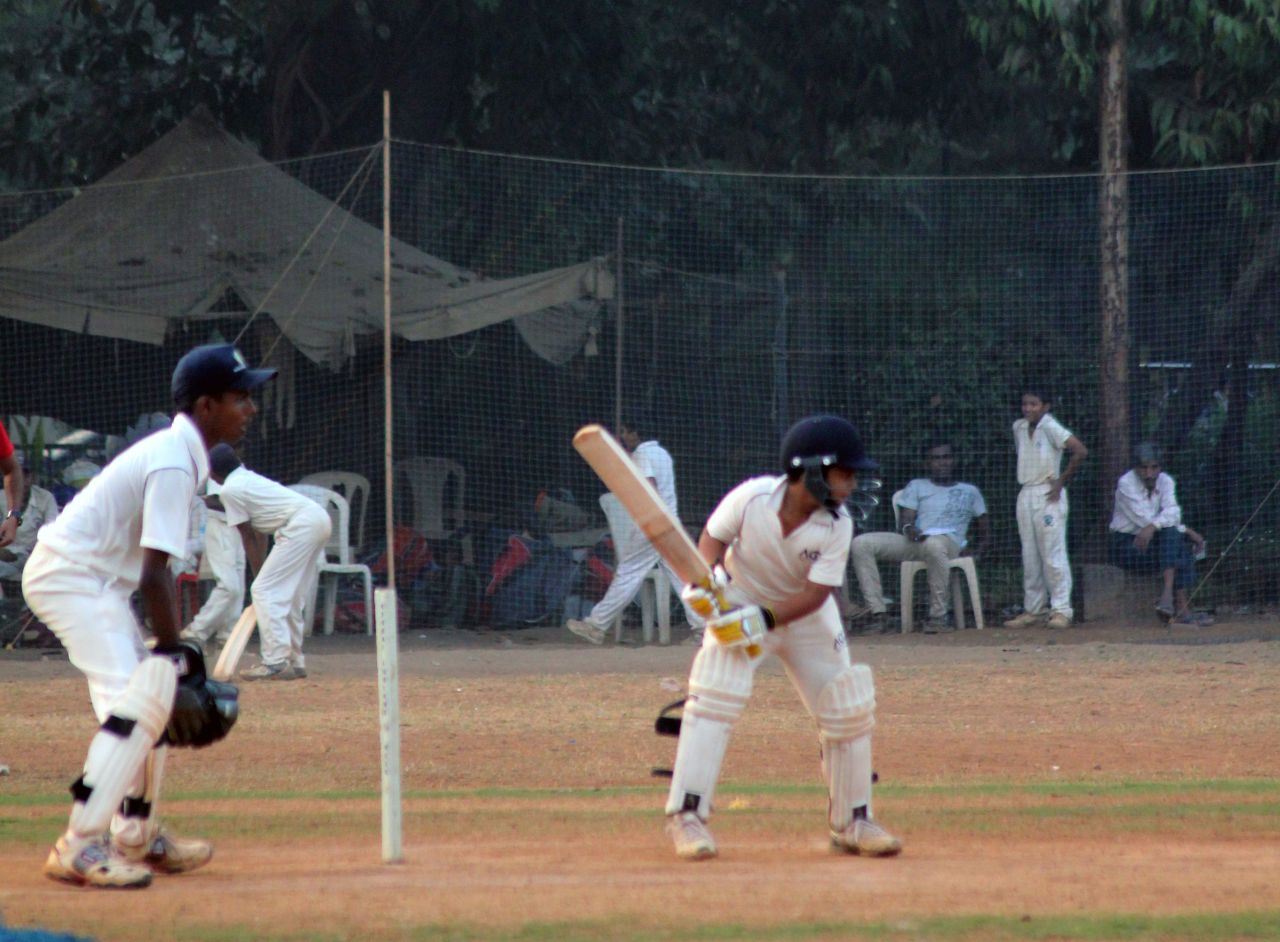 Cricket Practice Nets Kids Stock Free