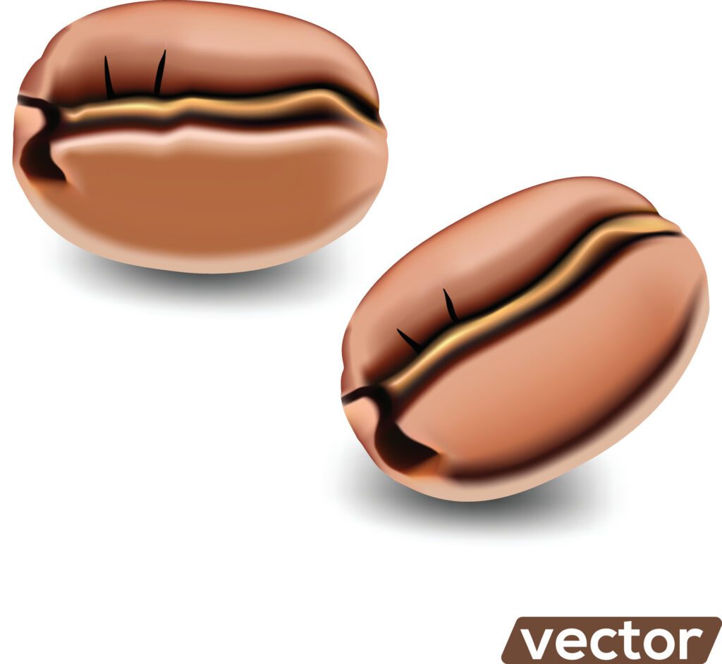 realistic illustration of coffee beans on white background. Free Vector