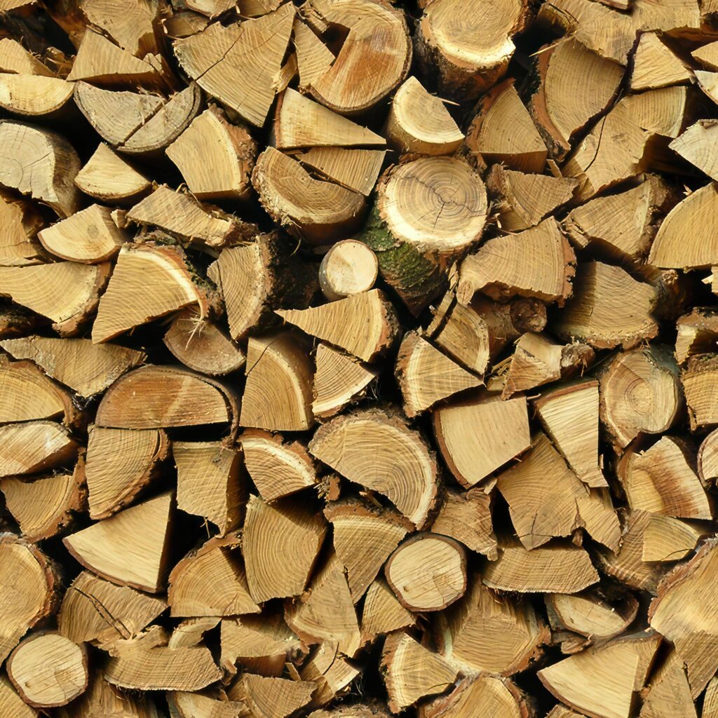 Pine Tree wood stumps on ground after being cut with real wood texture background. Stock Free