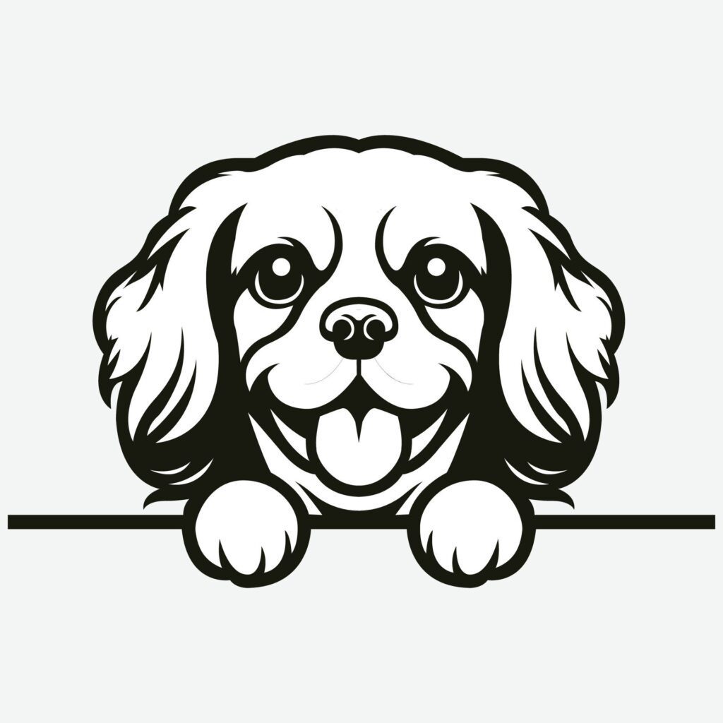 Black And White Cavalier King Charles Spaniel dog peeking face illustration vector Free Vector