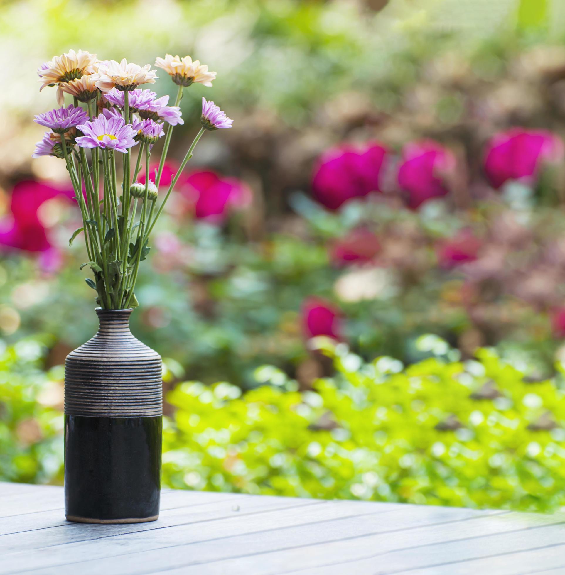 Fresh colorful flower in a small ceramic pot – colorful flower decoration pot for background use concept Stock Free