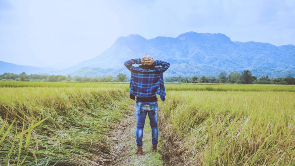 Asian man travel relax in the holiday. Stand natural touch mountain field. Thailand Stock Free