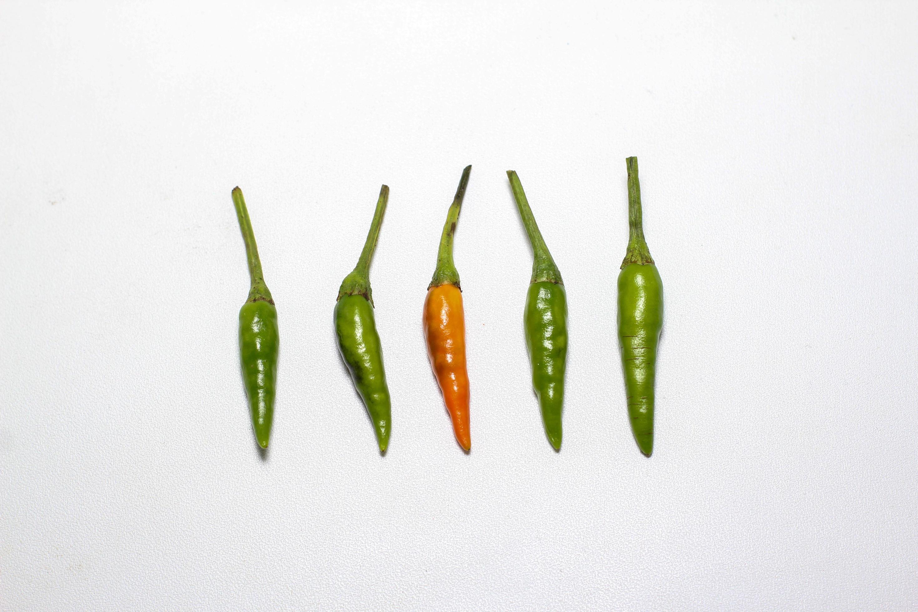 Red and Green hot Cayenne pepper Minimal food concept Stock Free