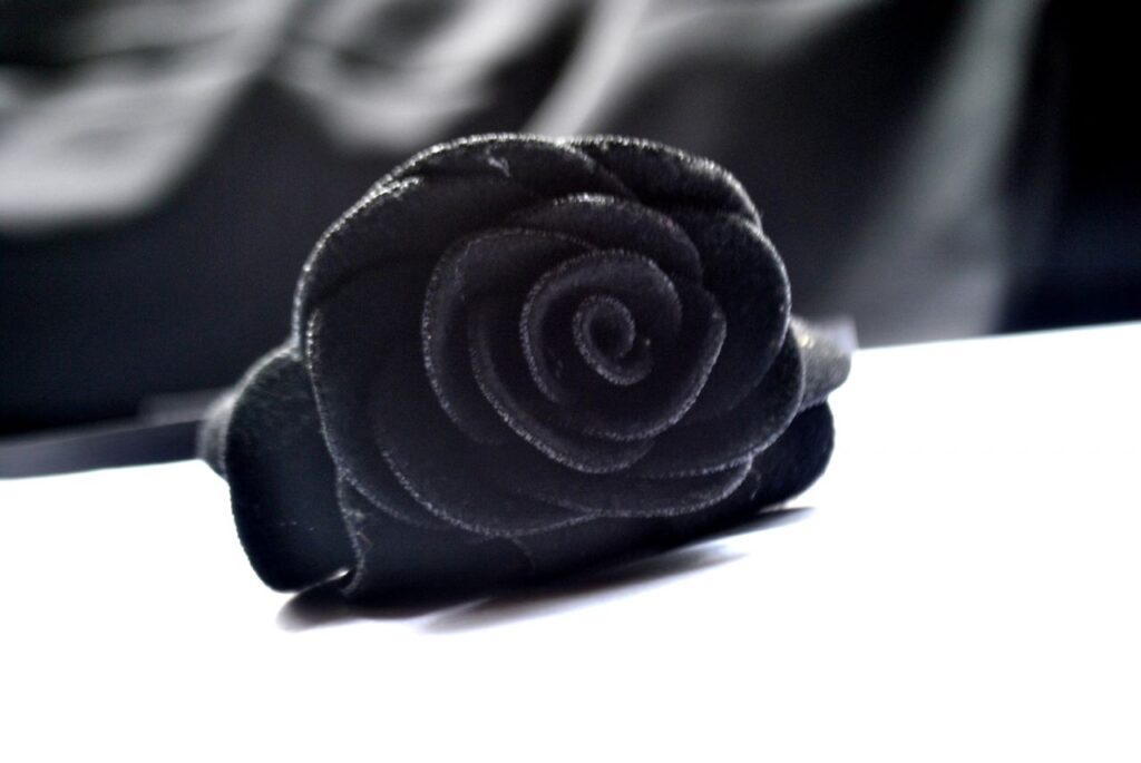 Black Rose Artificial Stock Free