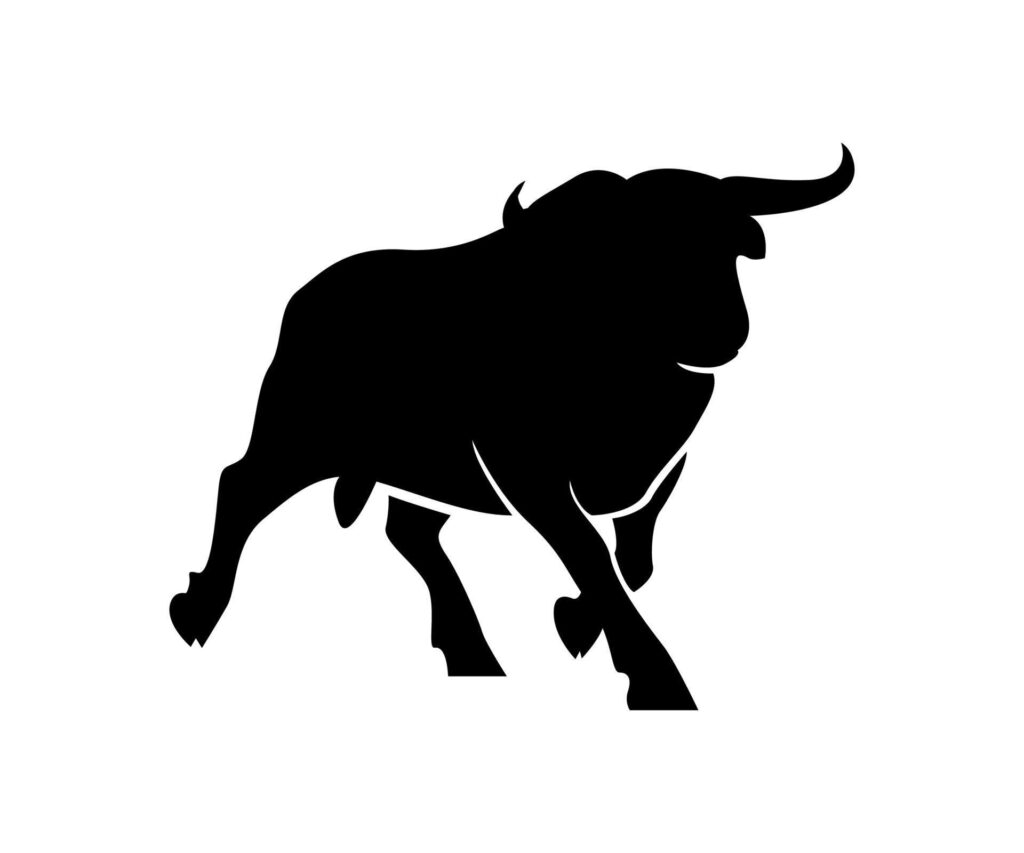 silhouettes of bull, design vector of bull, bull logo design Stock Free and Free SVG