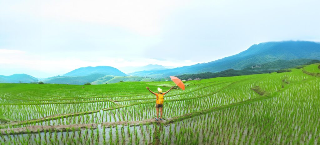 Asian woman travel nature. Walking open an umbrella sling backpack on the field. View of the field on the Moutain in summer. Thailand Stock Free