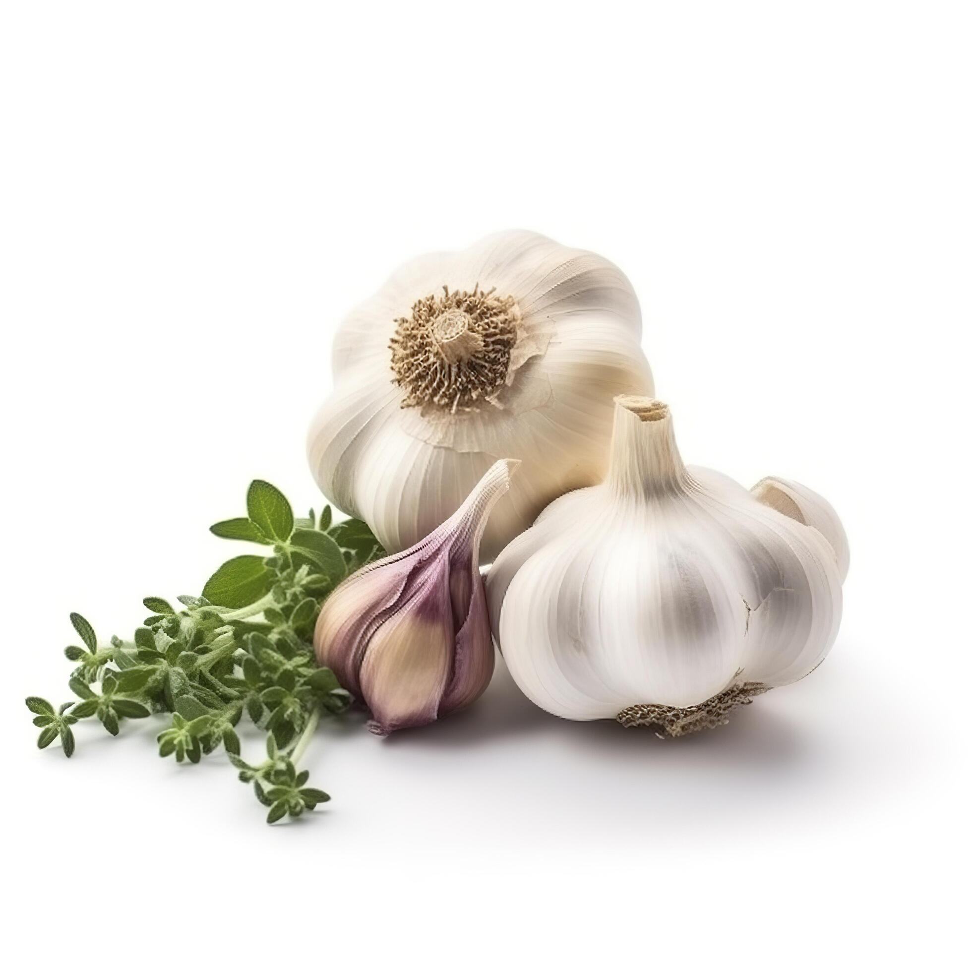 garlic isolated on white background, generate ai Stock Free