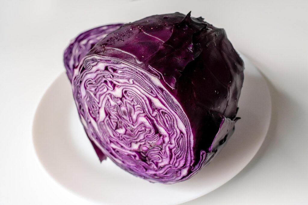 Red cabbage on a large white plate. Cut red cabbage on a white background. Stock Free