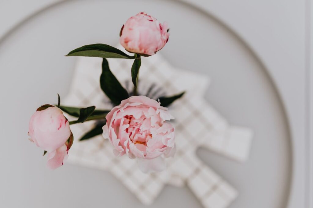 Peony flowers in vase Stock Free