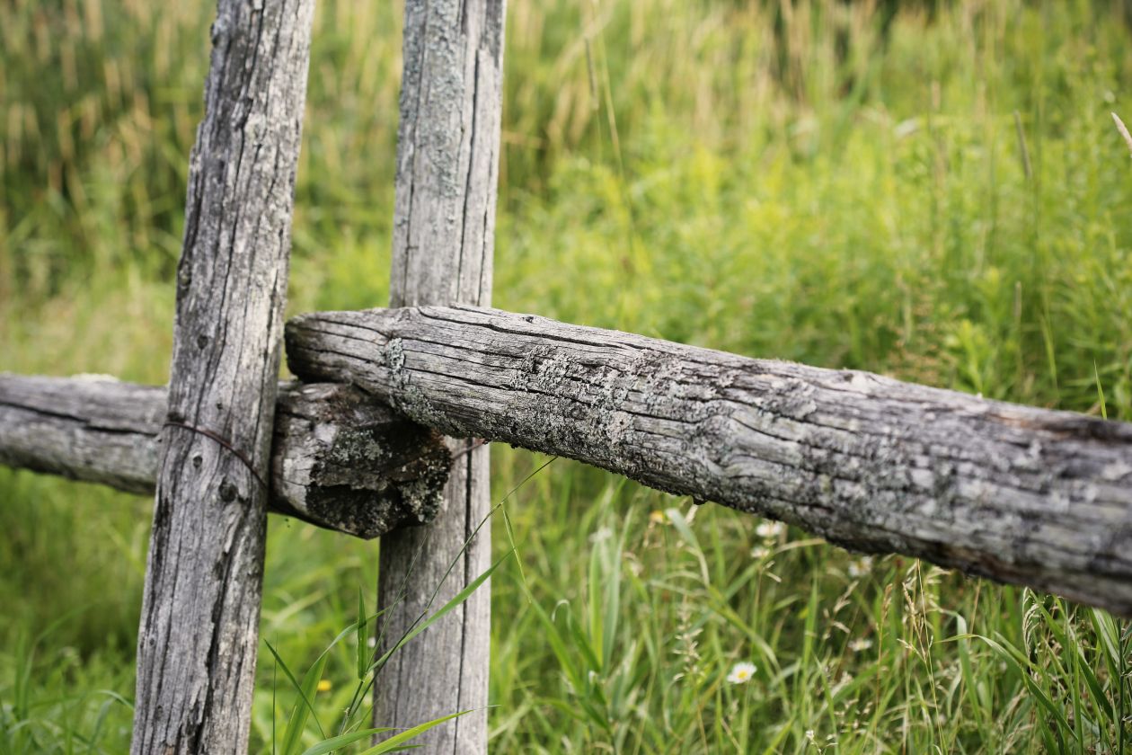 Wooden fence Stock Free