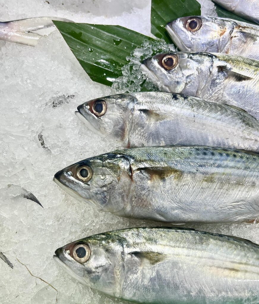 Close up raw fish on ice counter isolated on vertical ratio background. Fishmonger for shopping fish meat. Stock Free