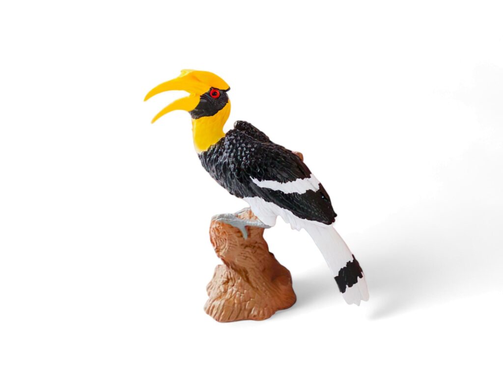 miniature great hornbill bird on a white background Stock Free