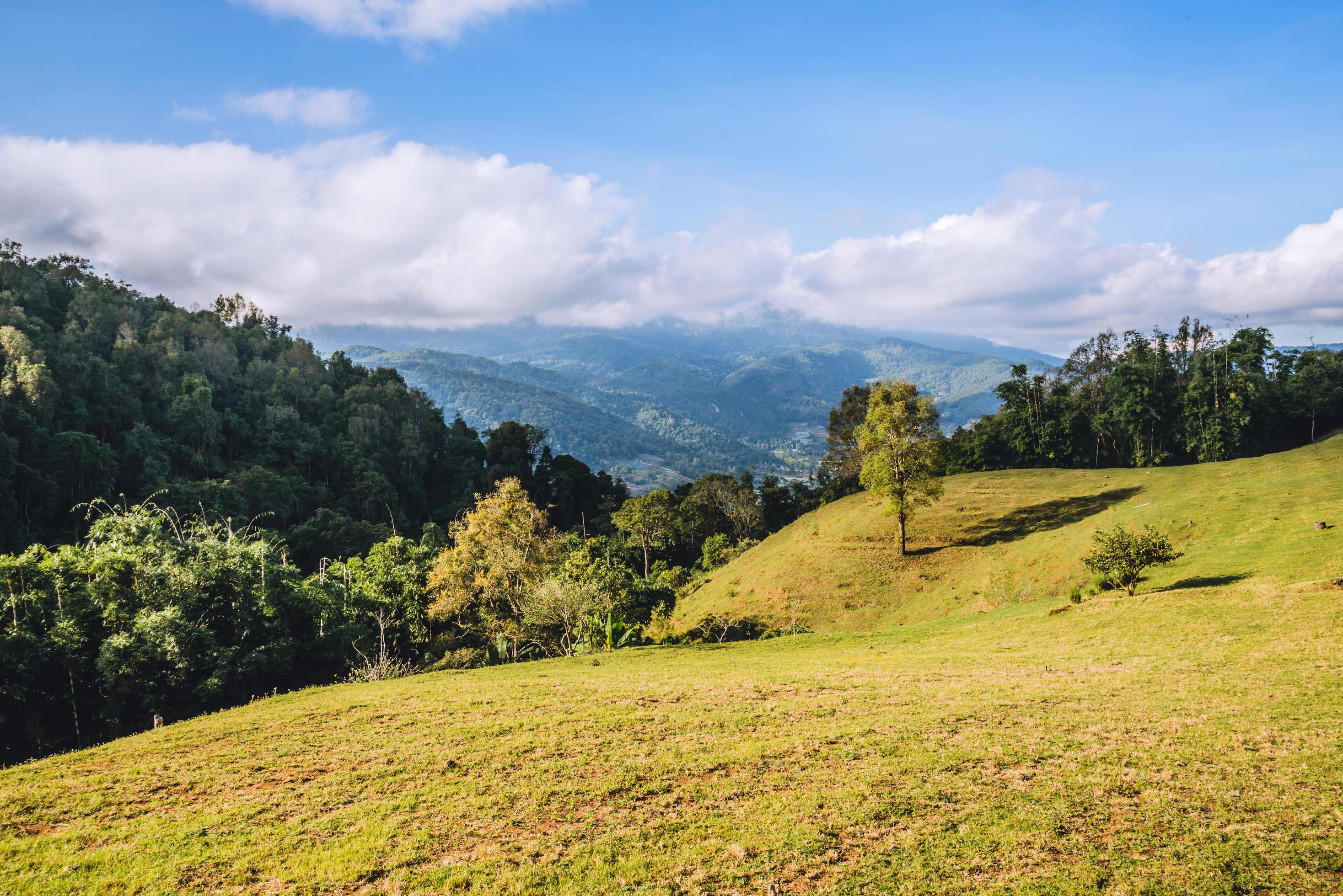 background beautiful natural landscape on the mountain viewpoint. at sheep farm Doi Pha Tang in Thailand Stock Free