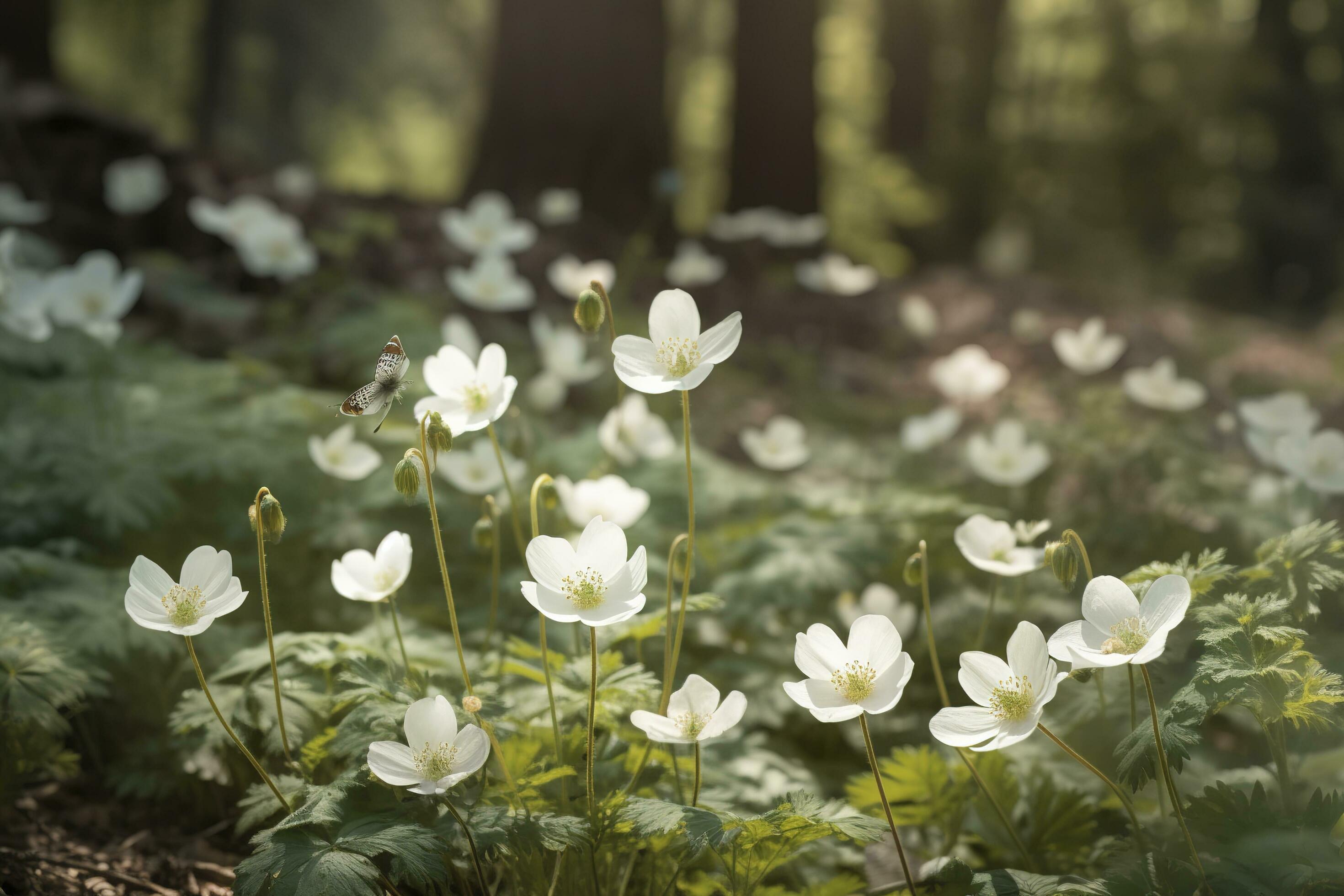 abstract nature spring Background. spring flower and butterfly, generate ai Stock Free