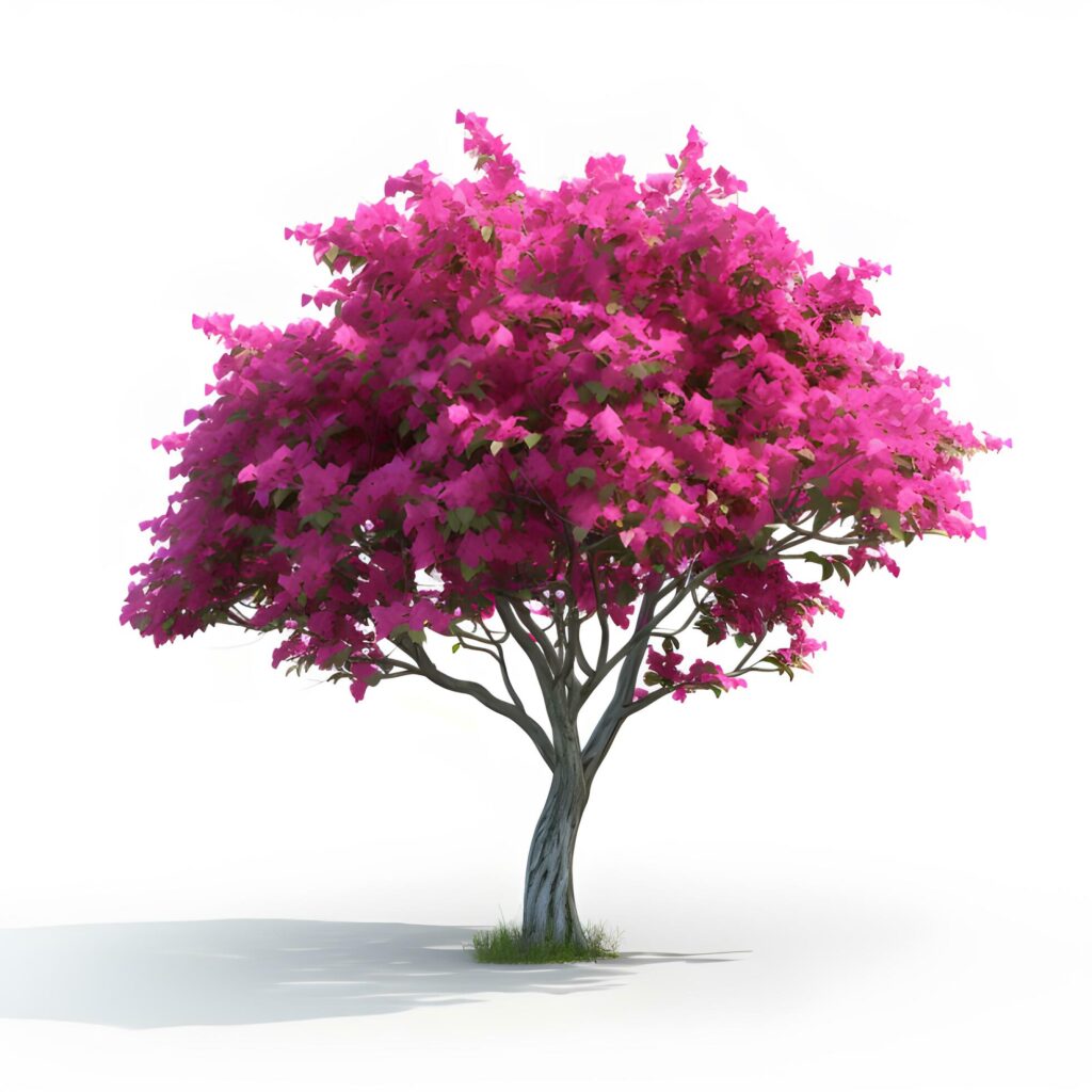 Bougainvillea flower or Pink flower. AI generetive Stock Free