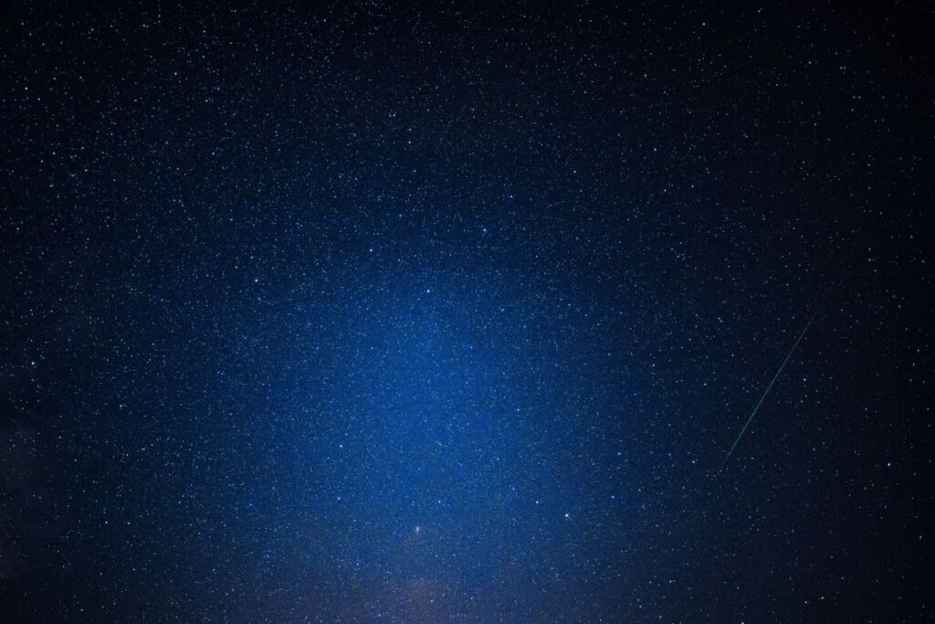 A trees under the starry sky Stock Free