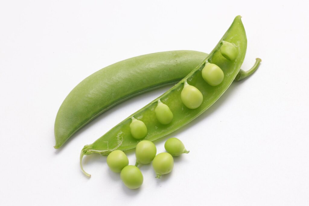 Pea on white background Stock Free