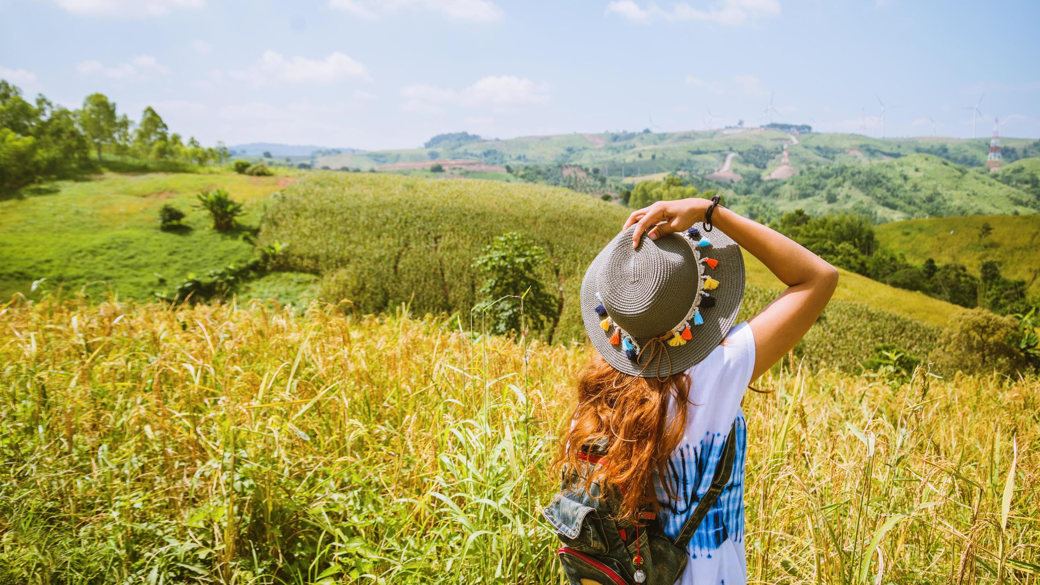 Asian women travel Rice fields green On the mountains in the holiday. happy and enjoying a beautiful nature. Rice fields Golden. summer Stock Free