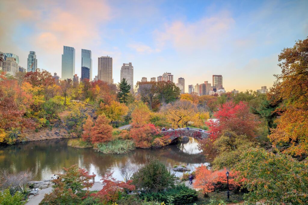 Central Park in Autumn Stock Free