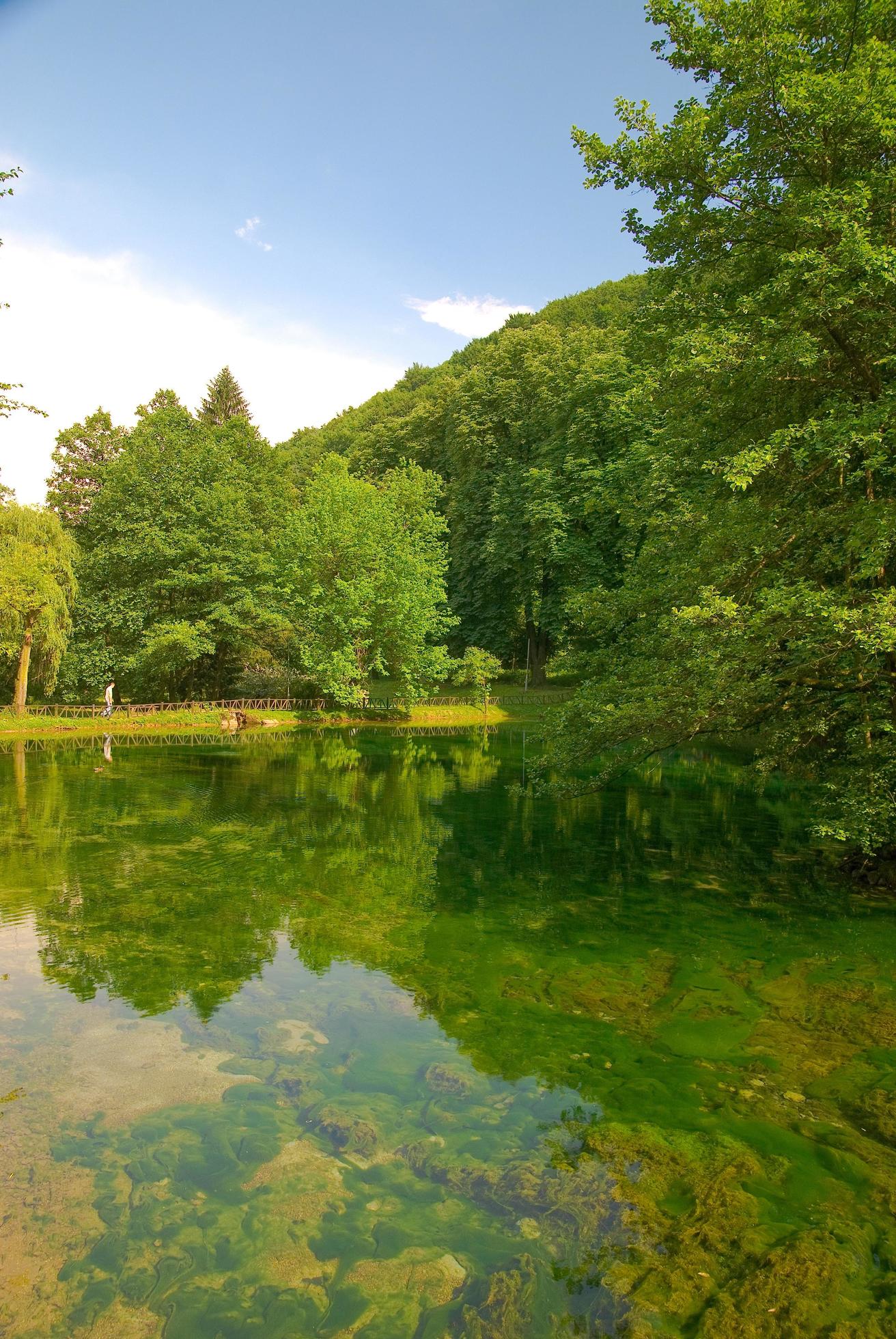 lake in pure nature Stock Free