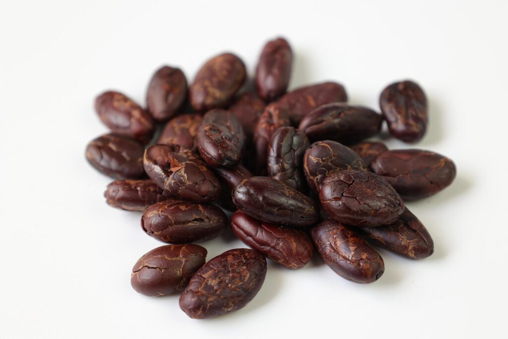 Roasted cocoa beans isolated on white background Stock Free