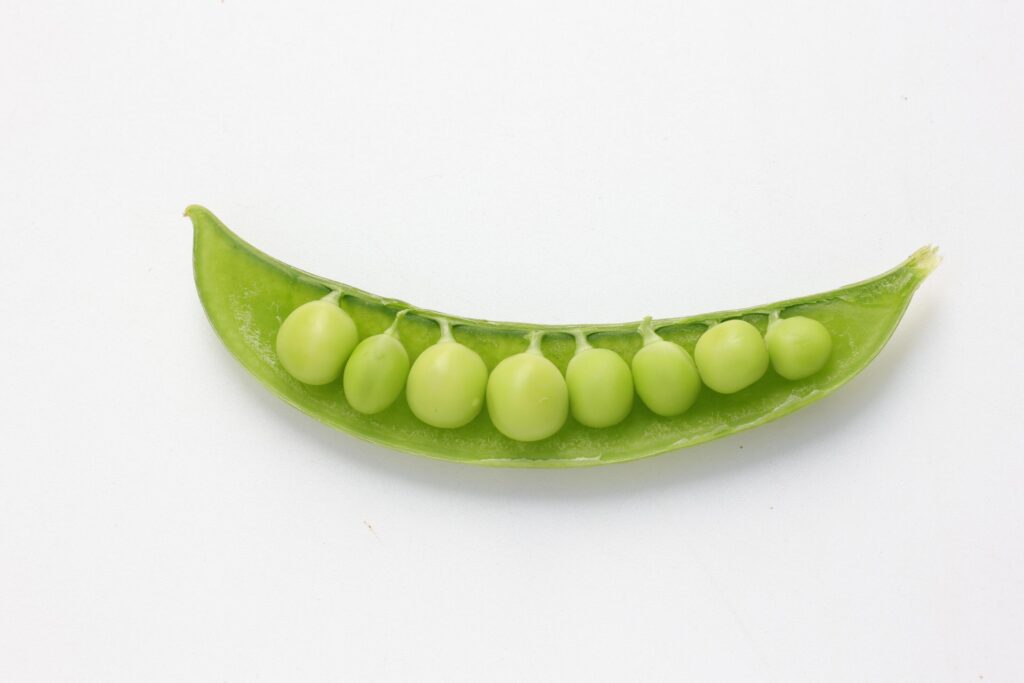 Pea on white background Stock Free