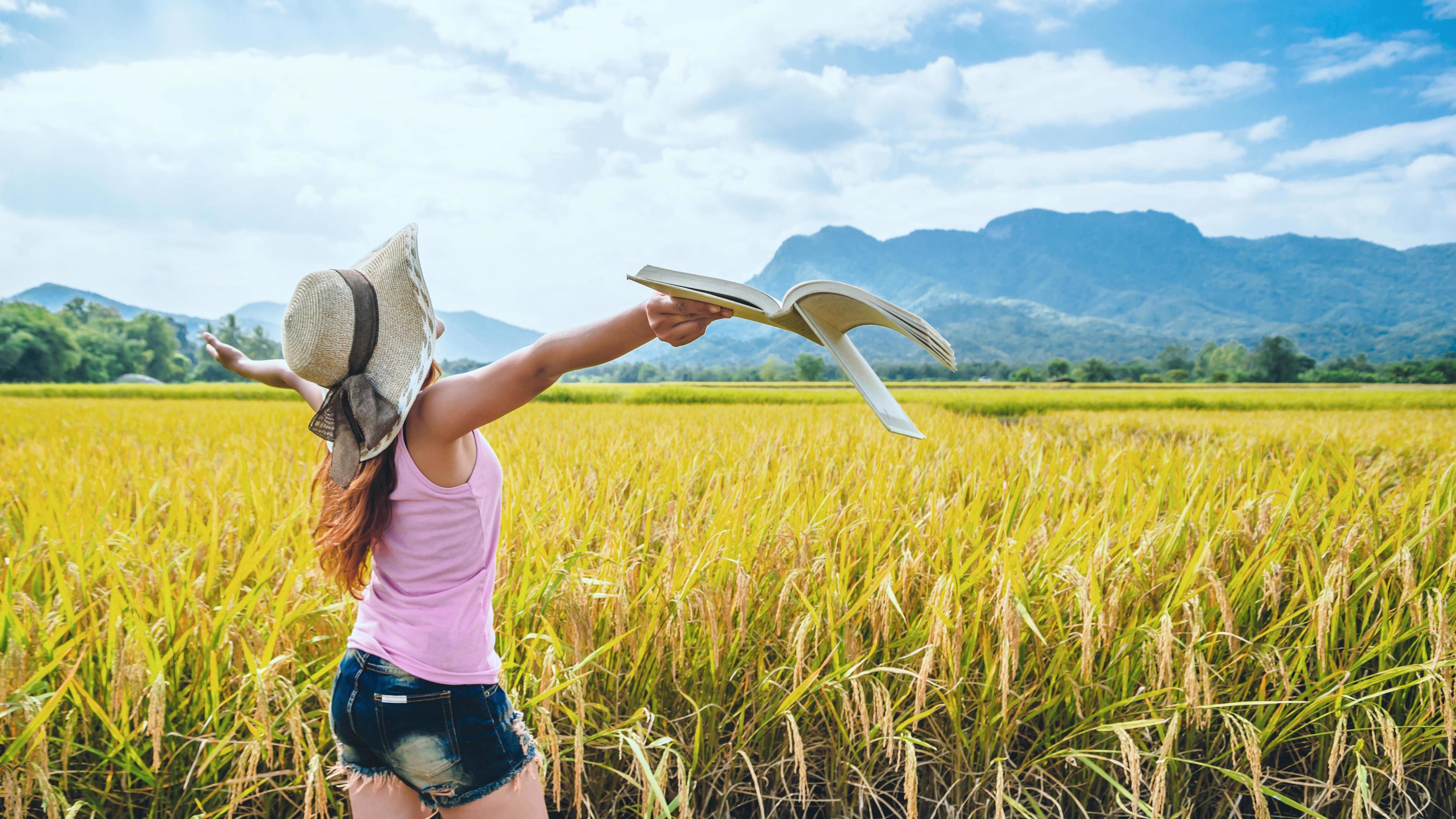 Asian women relax in the holiday. Read books on vacation. Write a study of natural garden rice field garden. Stock Free