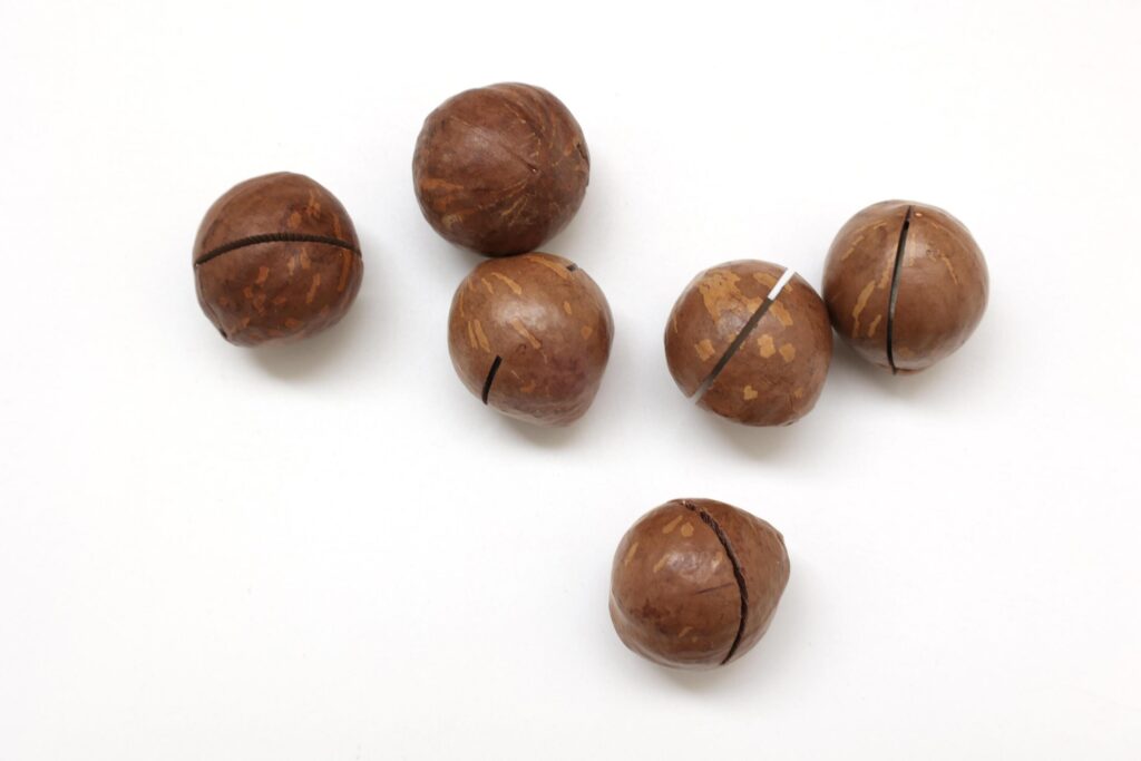 Macadamia nuts seeds background Stock Free