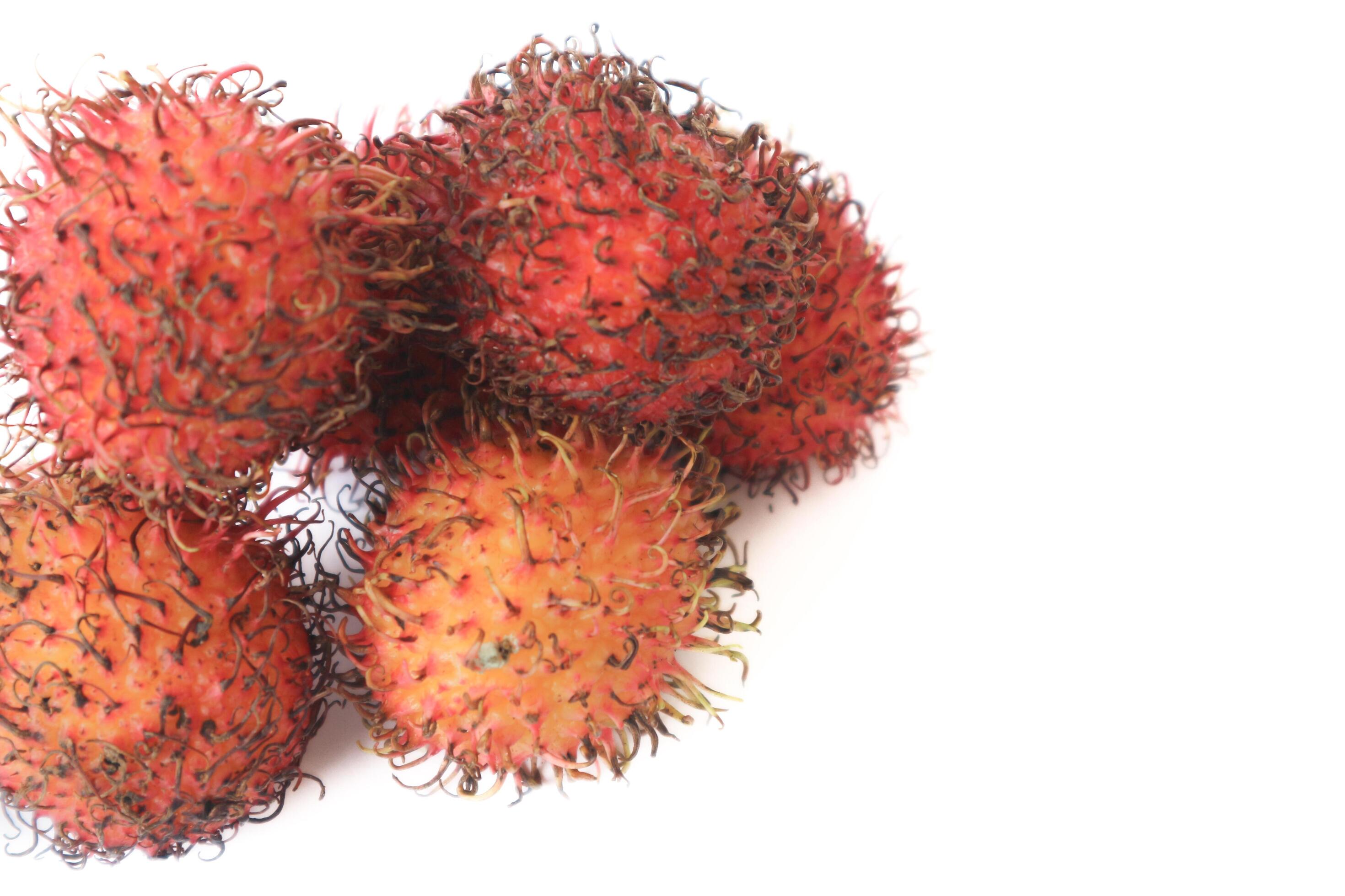 
									Rambutan taxonomic name, Nephelium lappaceum is a medium sized tropical tree in the Sapindaceae family Stock Free