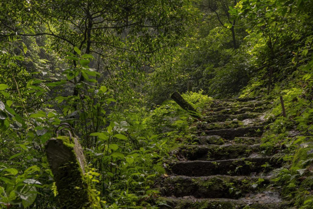 The way going to water fall on the rain forest. The photo is suitable to use for adventure content media, nature poster and forest background. Stock Free